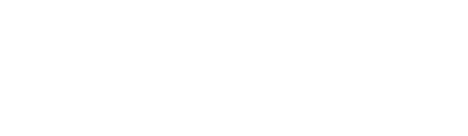 Mission Summit Treks logo